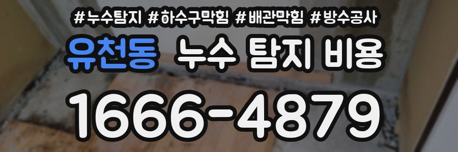 유천동 누수 탐지 비용