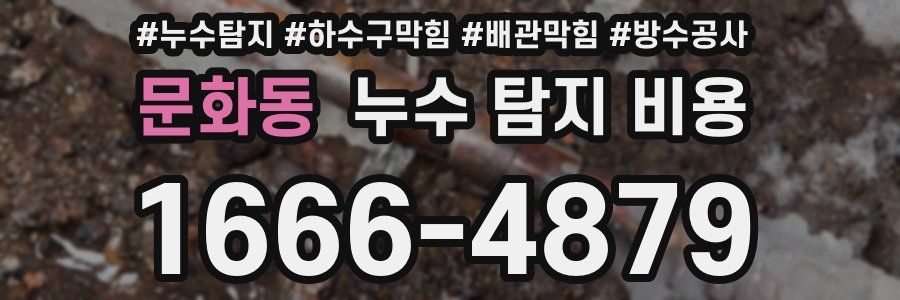 문화동 누수 탐지 비용