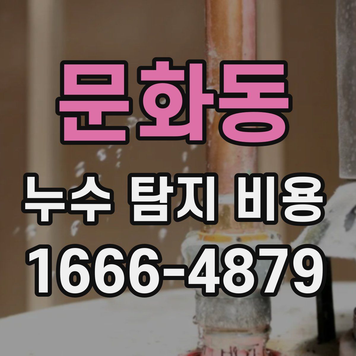문화동 누수 탐지 비용
