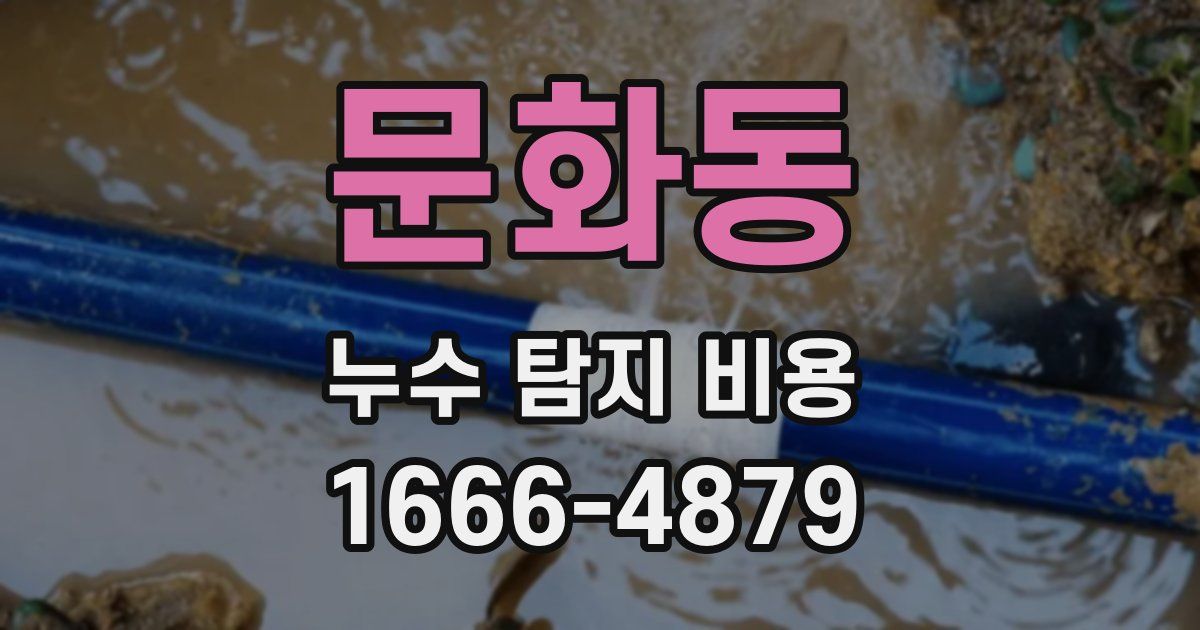 문화동 누수 탐지 비용