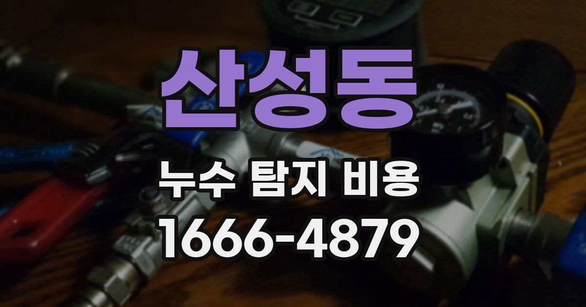 산성동 누수 탐지 비용