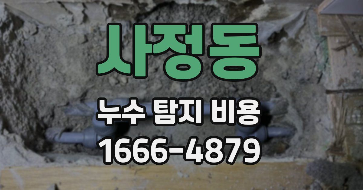 사정동 누수 탐지 비용