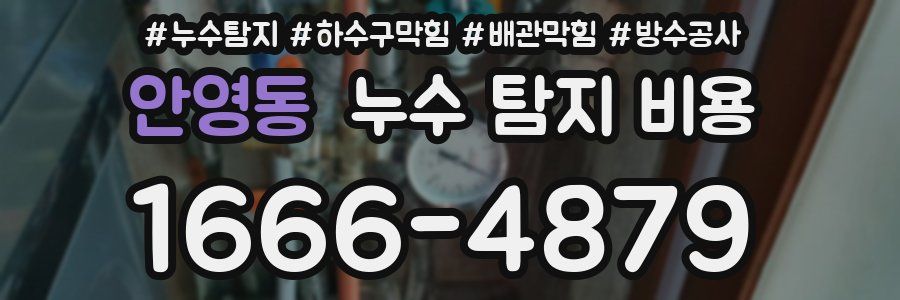 안영동 누수 탐지 비용