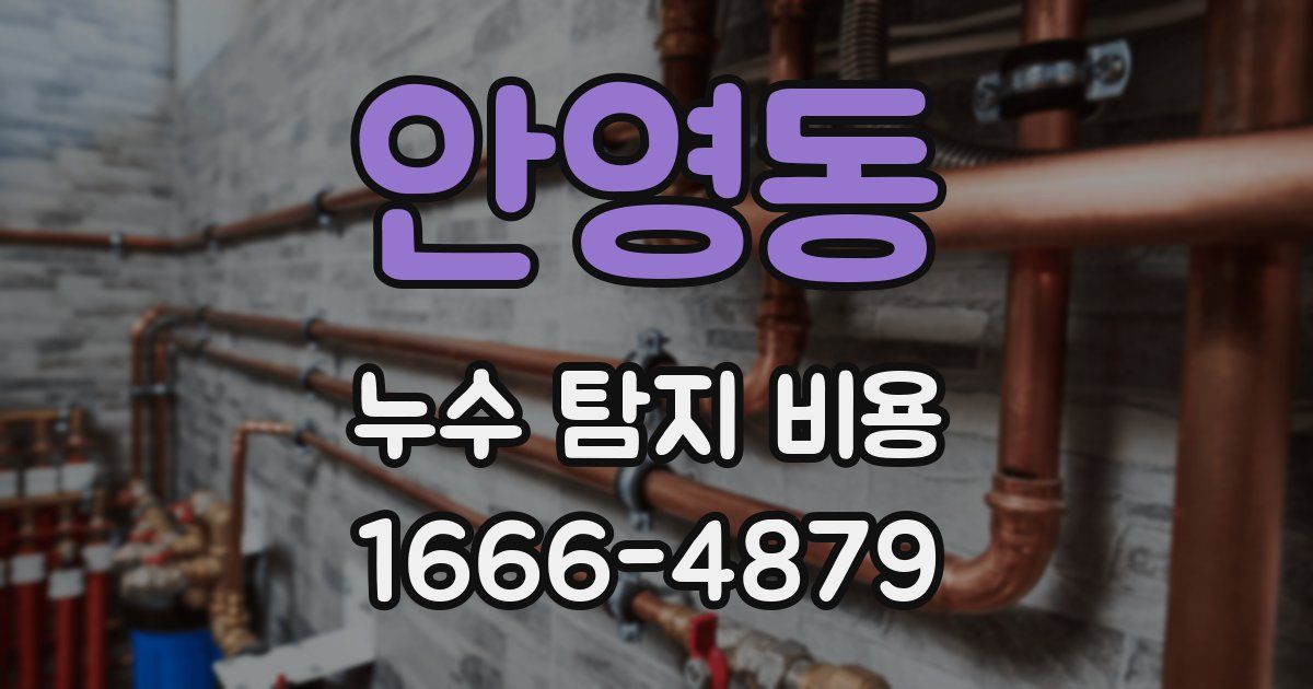 안영동 누수 탐지 비용