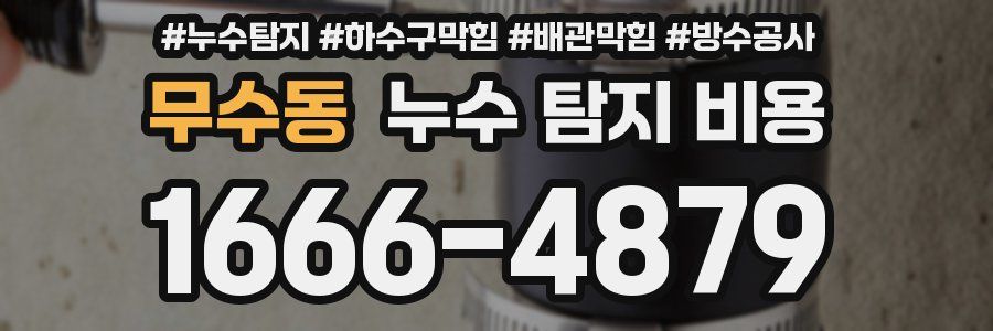 무수동 누수 탐지 비용
