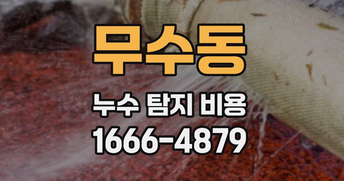 무수동 누수 탐지 비용