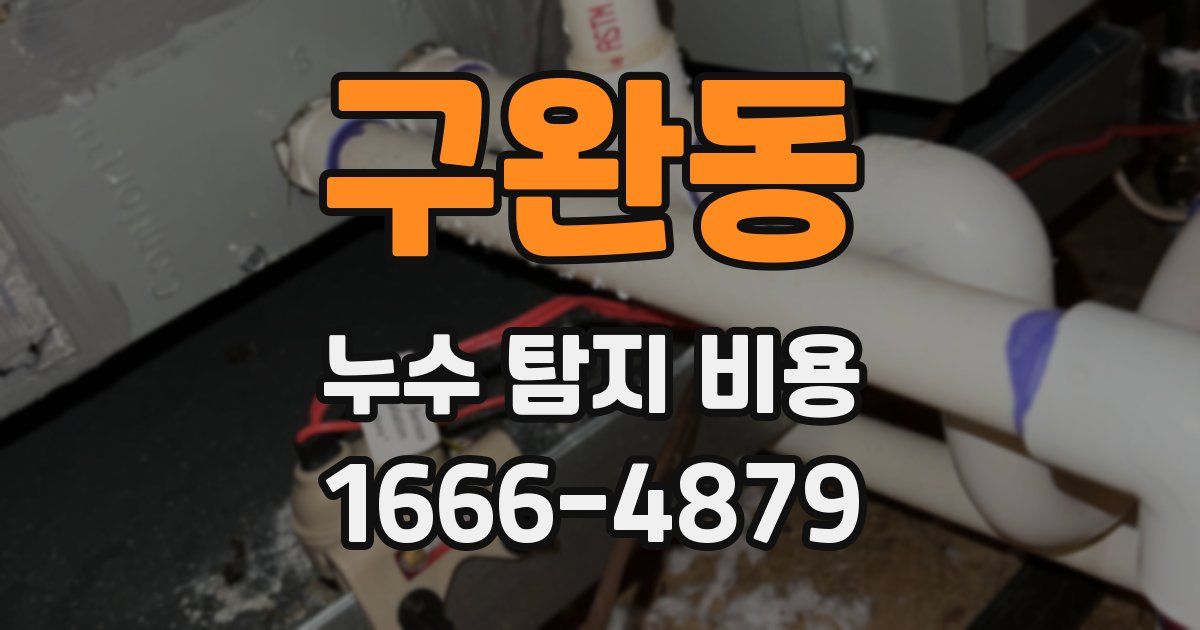 구완동 누수 탐지 비용