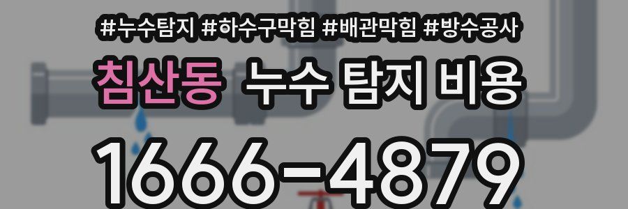 침산동 누수 탐지 비용