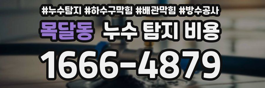 목달동 누수 탐지 비용