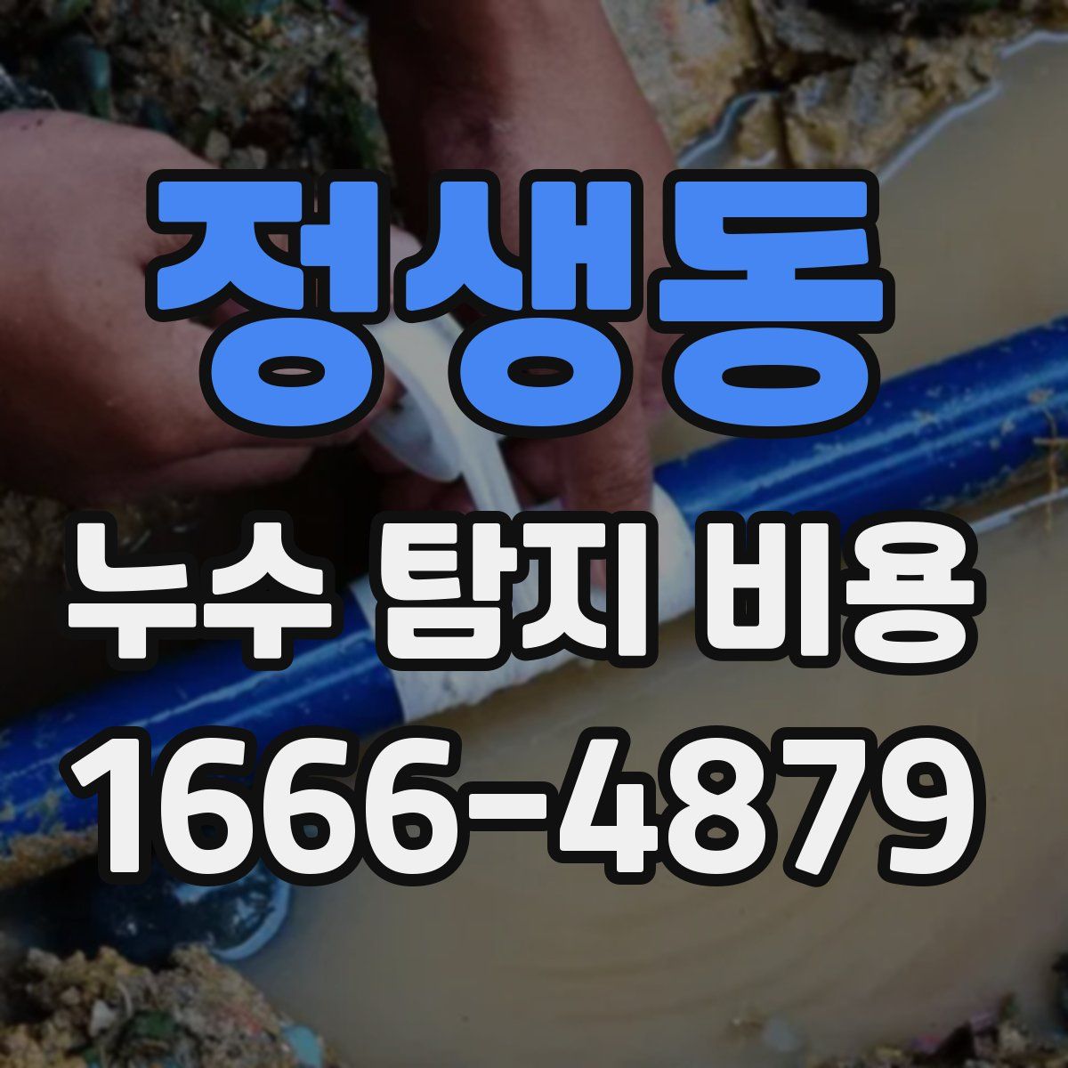 정생동 누수 탐지 비용