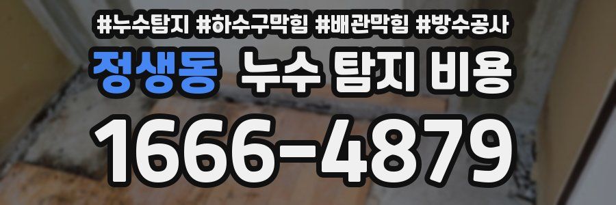 정생동 누수 탐지 비용