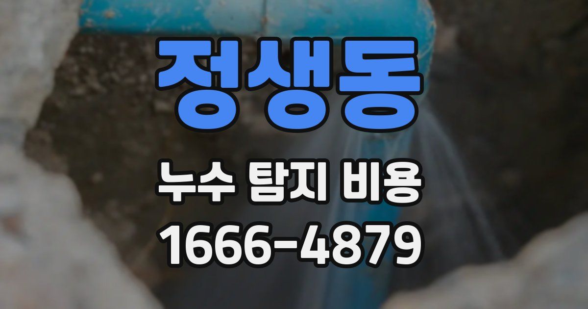정생동 누수 탐지 비용