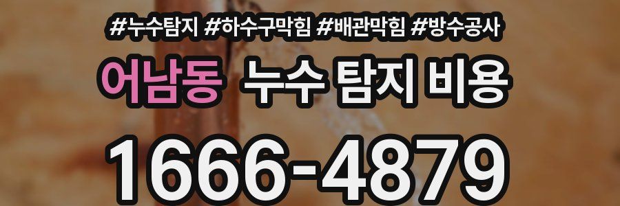 어남동 누수 탐지 비용