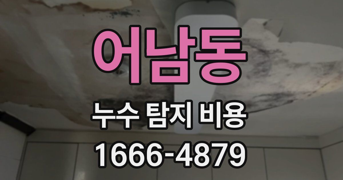 어남동 누수 탐지 비용