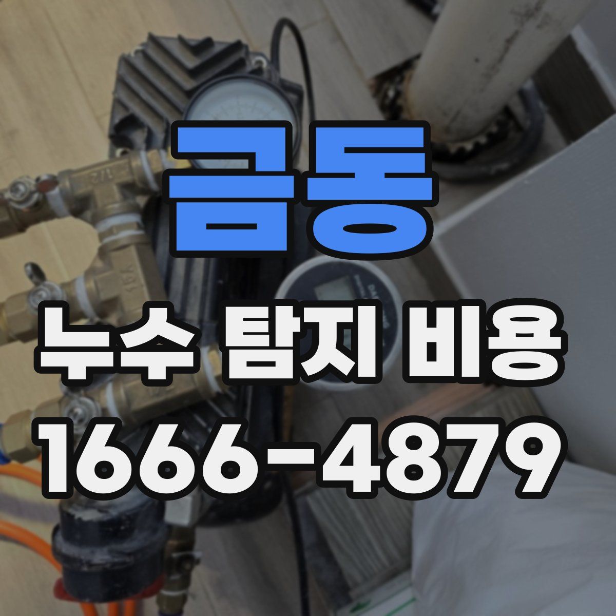 금동 누수 탐지 비용