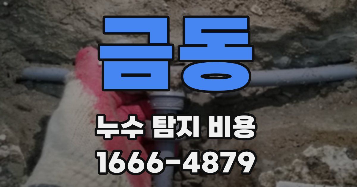 금동 누수 탐지 비용