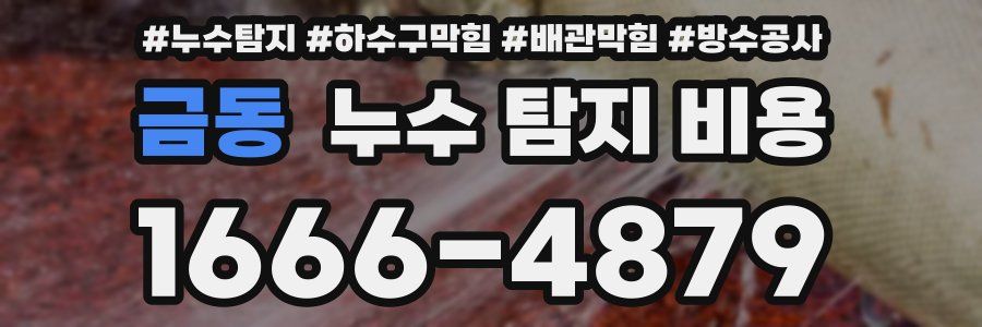 금동 누수 탐지 비용