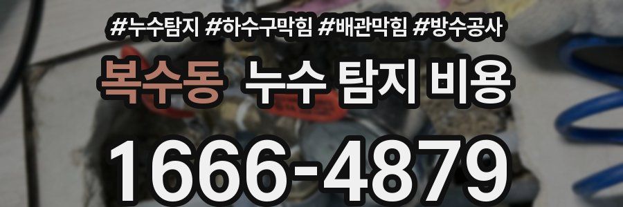 복수동 누수 탐지 비용