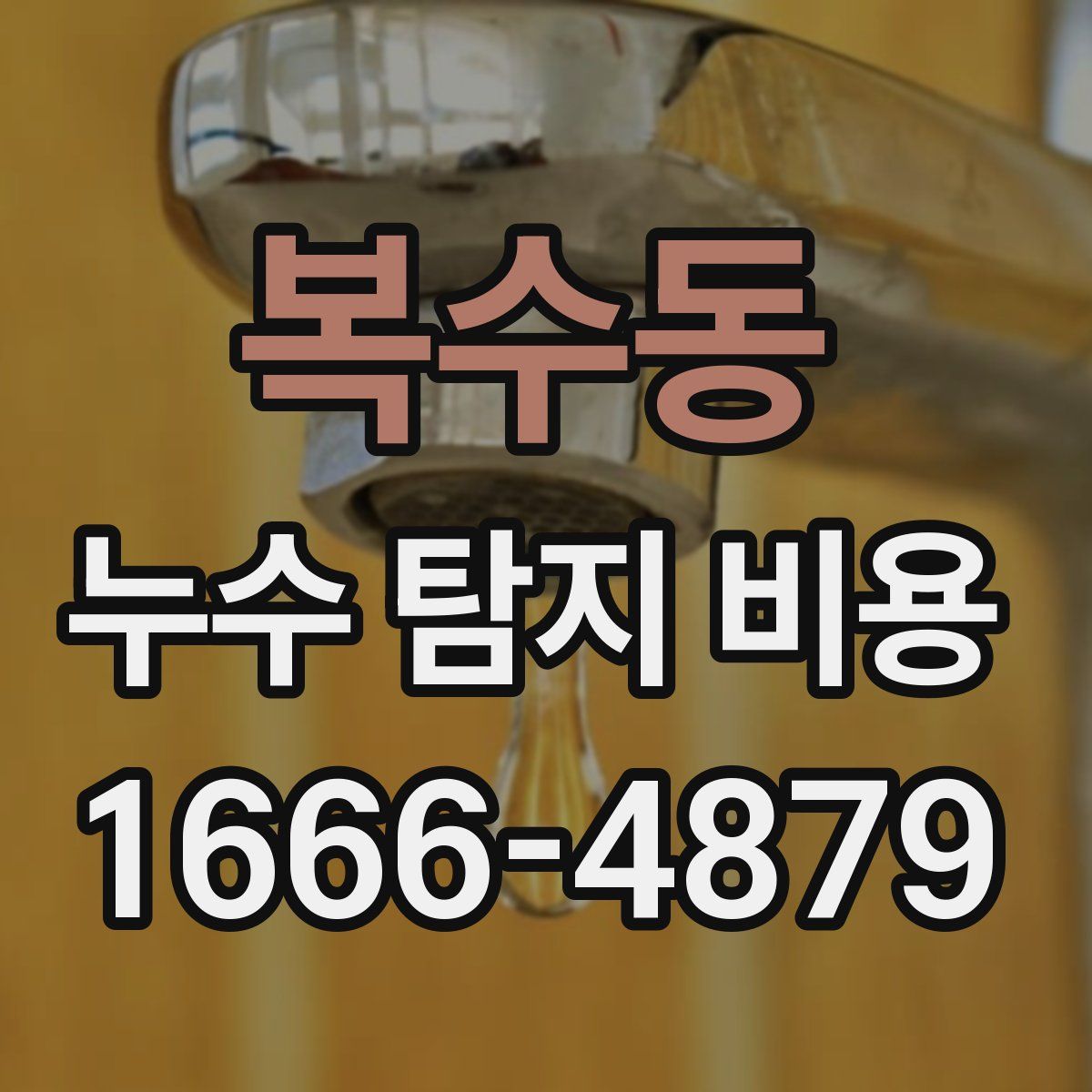 복수동 누수 탐지 비용
