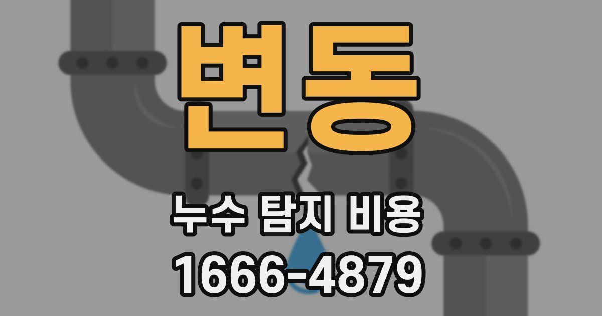 변동 누수 탐지 비용