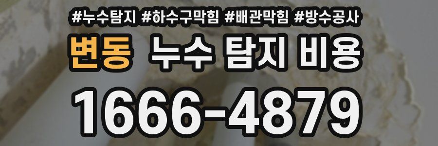 변동 누수 탐지 비용