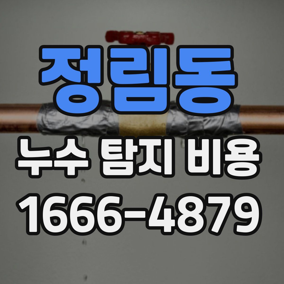 정림동 누수 탐지 비용