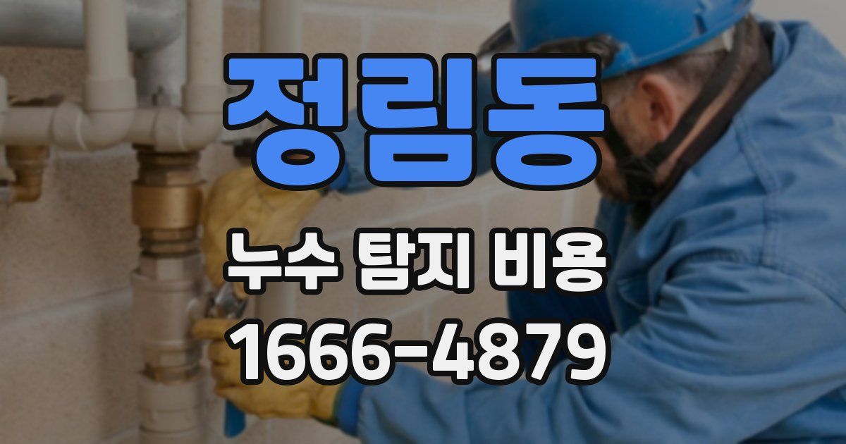 정림동 누수 탐지 비용
