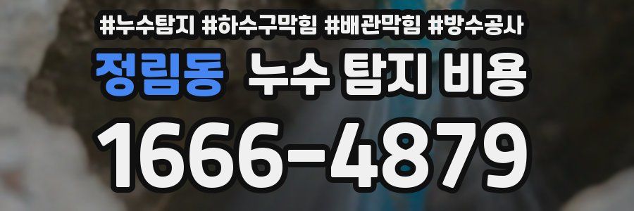 정림동 누수 탐지 비용