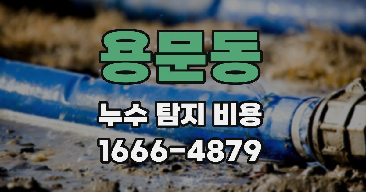 용문동 누수 탐지 비용