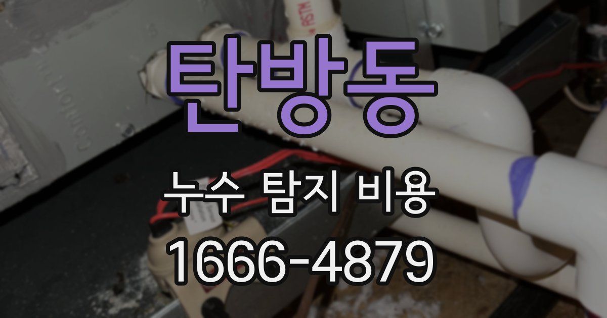 탄방동 누수 탐지 비용