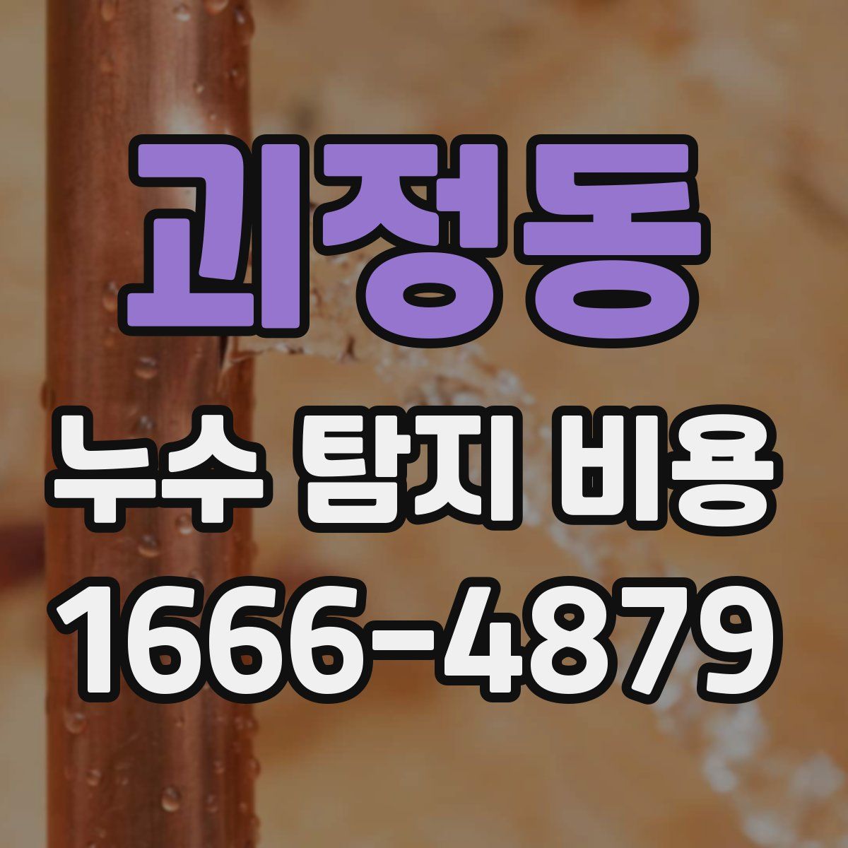 괴정동 누수 탐지 비용