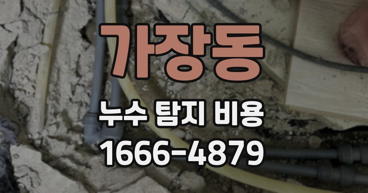 가장동 누수 탐지 비용