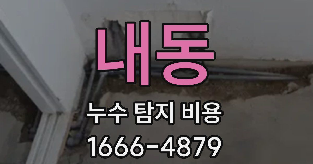 내동 누수 탐지 비용