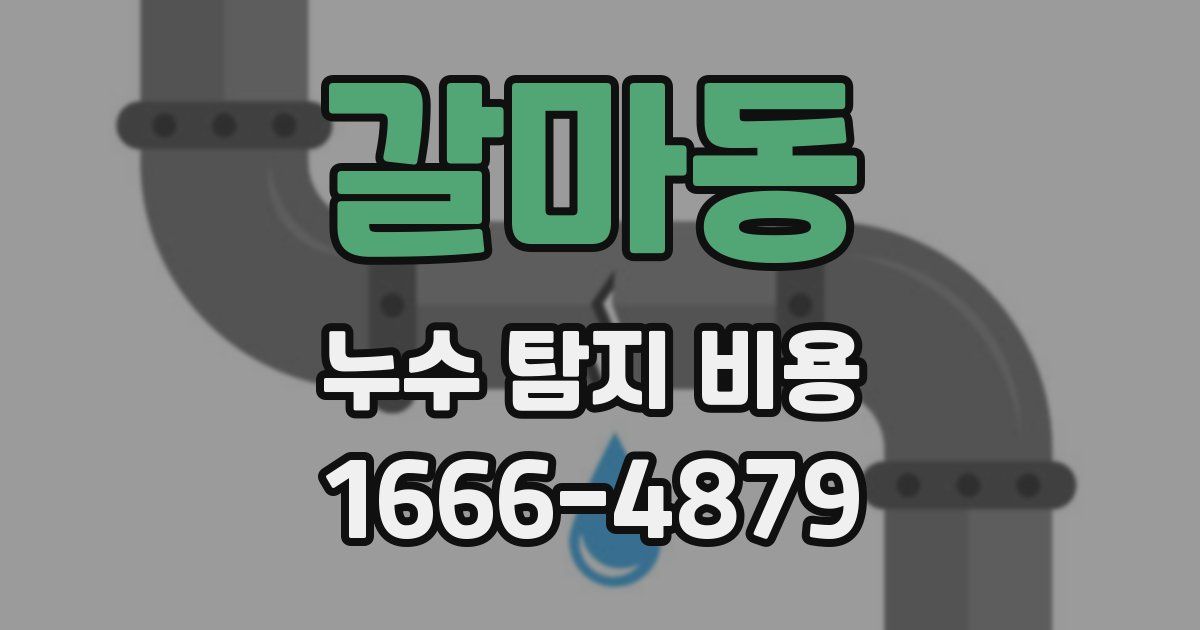 갈마동 누수 탐지 비용