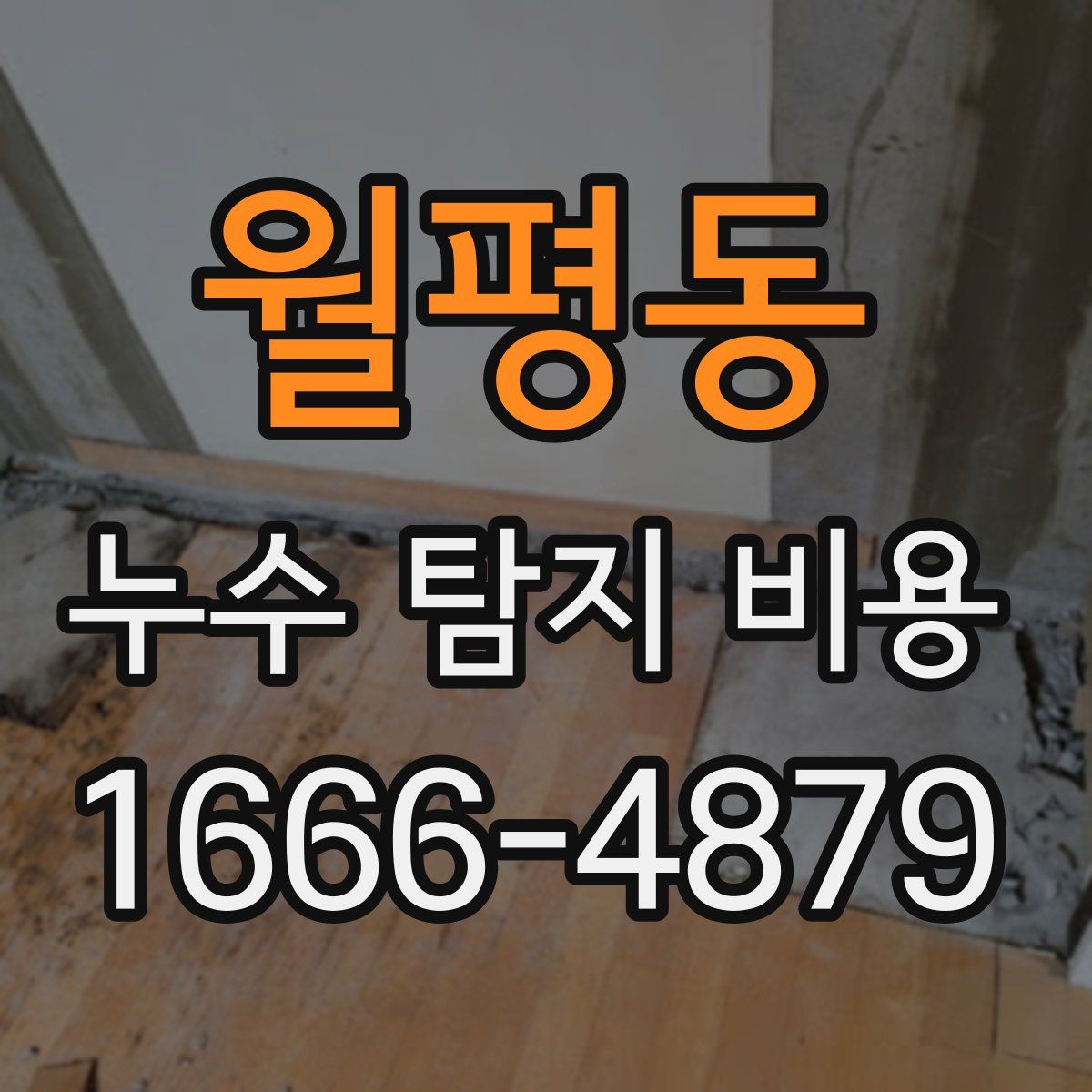 월평동 누수 탐지 비용
