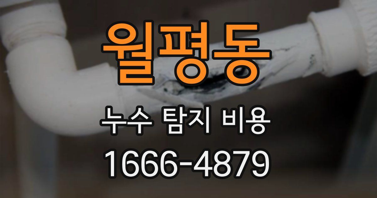 월평동 누수 탐지 비용