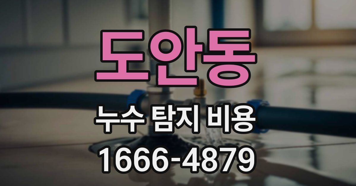 도안동 누수 탐지 비용