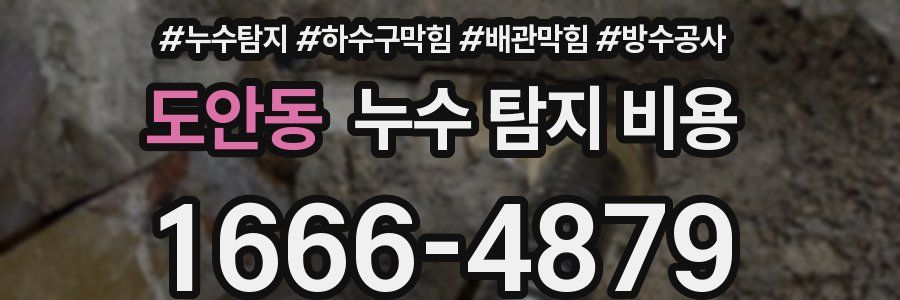 도안동 누수 탐지 비용