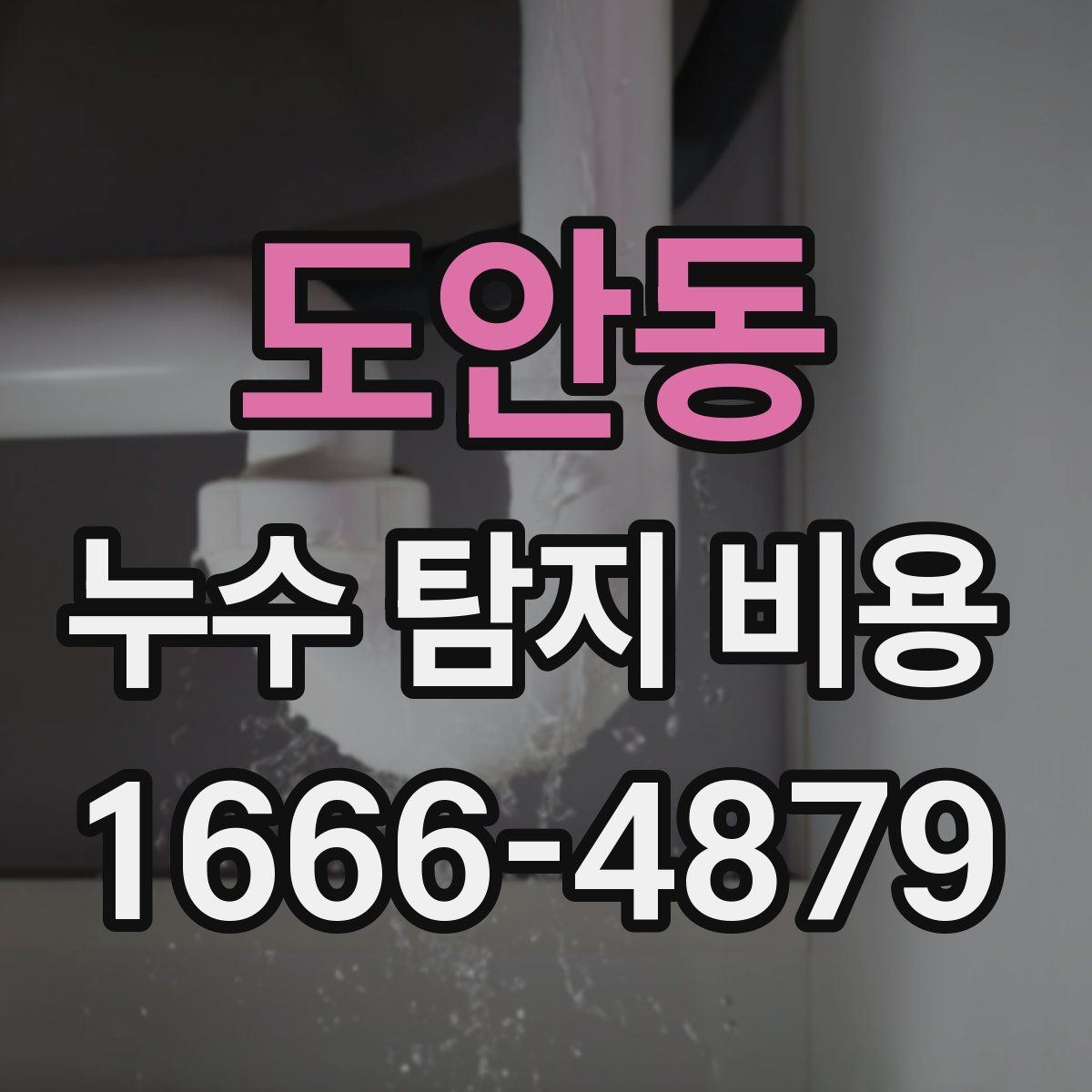 도안동 누수 탐지 비용