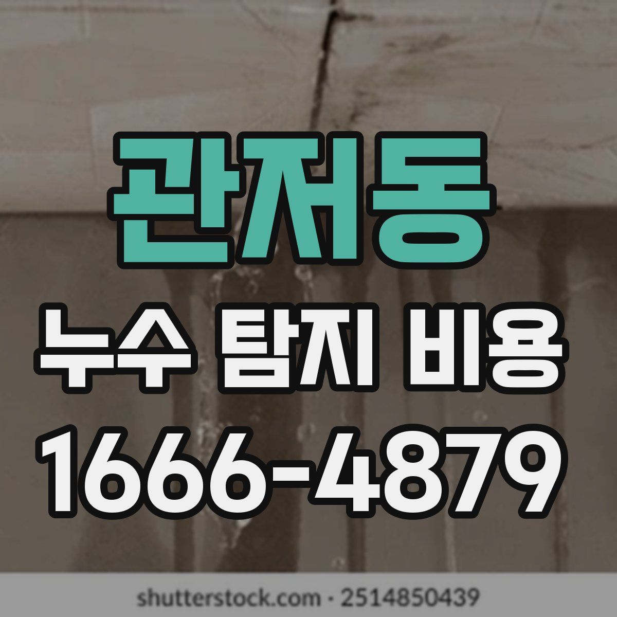 관저동 누수 탐지 비용