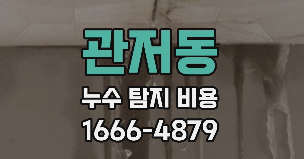 관저동 누수 탐지 비용