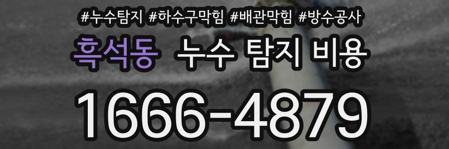 흑석동 누수 탐지 비용