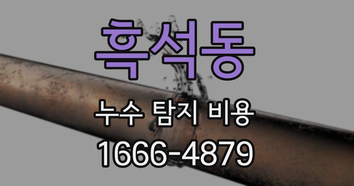 흑석동 누수 탐지 비용