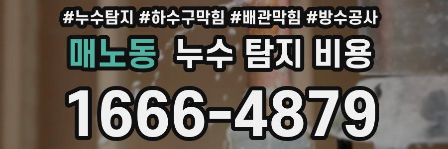 매노동 누수 탐지 비용