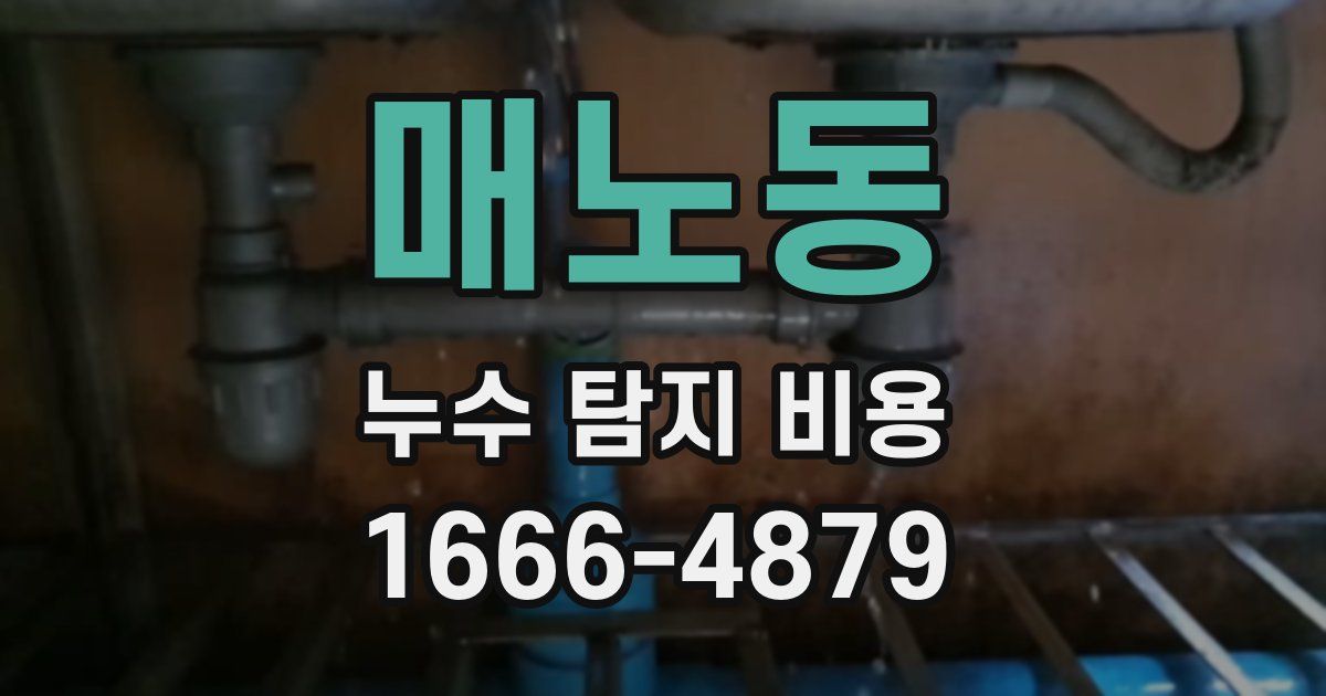 매노동 누수 탐지 비용