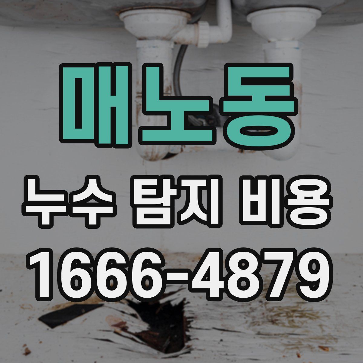 매노동 누수 탐지 비용