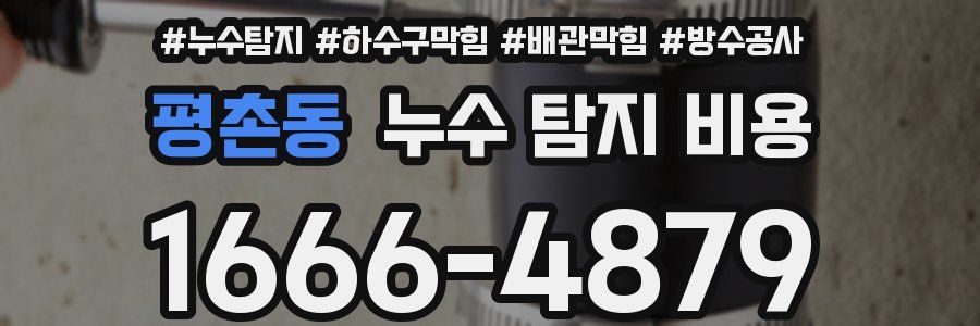 평촌동 누수 탐지 비용