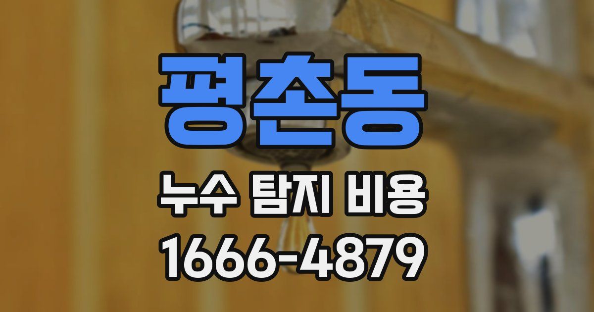 평촌동 누수 탐지 비용