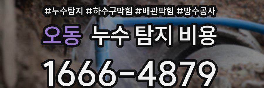 오동 누수 탐지 비용