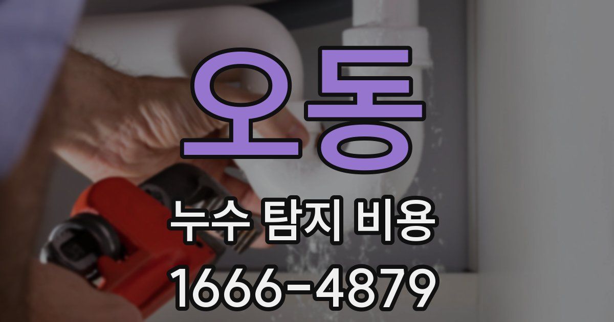 오동 누수 탐지 비용